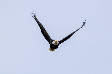 Canada 08-11-2025 0017.JPG