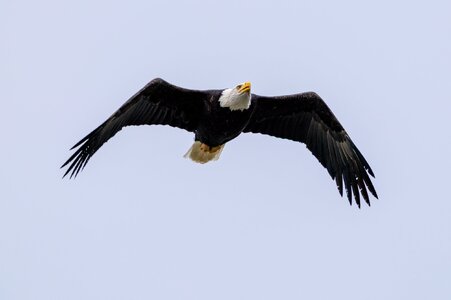 Canada 08-11-2025 0019.JPG