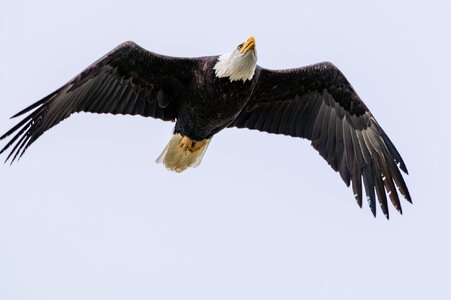 Canada 08-11-2025 0020.JPG