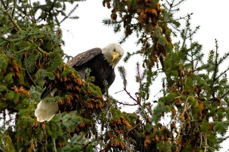 Canada 08-11-2025 0023.JPG