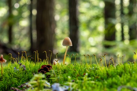 Canada 09-11-2025 0023.JPG