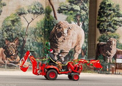 1E2A6961aug 3 25 strath.jpg