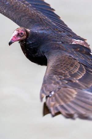 Canada 10-11-2025 0016.jpg