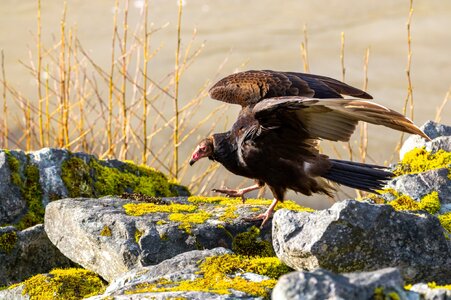 Canada 10-11-2025 0019.jpg