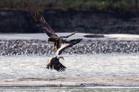 Canada 10-11-2025 0025.jpg