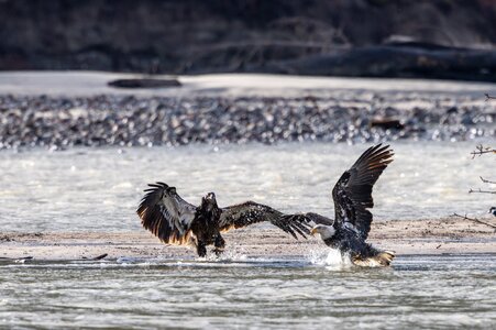 Canada 10-11-2025 0027.jpg