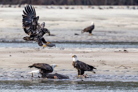 Canada 11-11-2025 0058.jpg