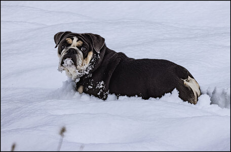 59975_First snow.jpg