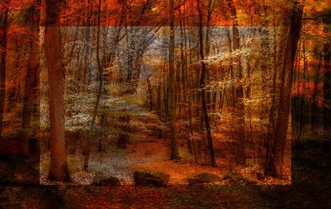 2025_10_120_LincolnWoods Autumn-ME-10055-56-Edit3000_2_Original.jpeg