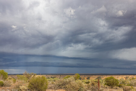 IH1_7275aug 3 25 strath.jpg