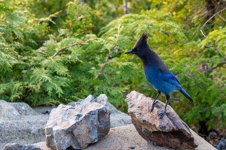 Canada 11-11-2025 0093.JPG