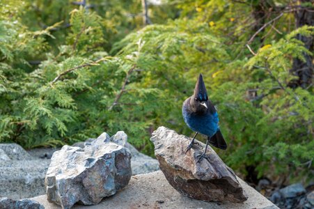 Canada 11-11-2025 0092.JPG