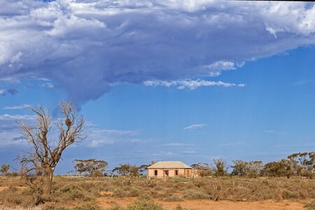 _H1_7541aug 3 25 strath.jpg