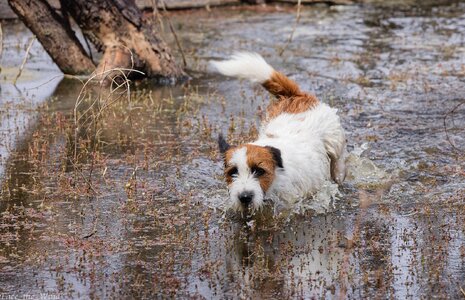 _H1_7532aug 3 25 strath.jpg