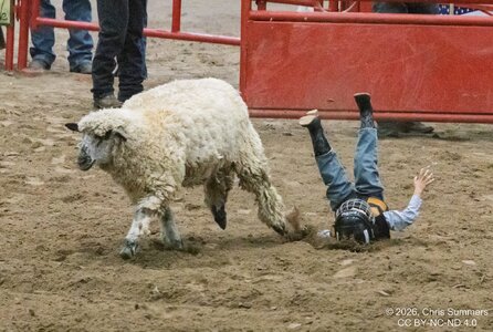 2026-004-114 Humble rodeo.jpg