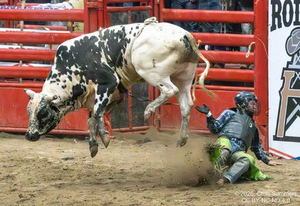 2026-004-396 Humble rodeo.jpg