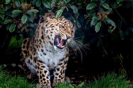 BCS 27-02-2026 0192.jpg