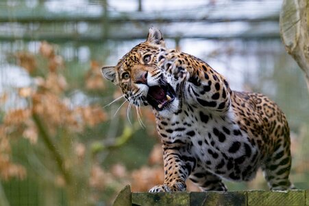 BCS 27-02-2026 0287.jpg