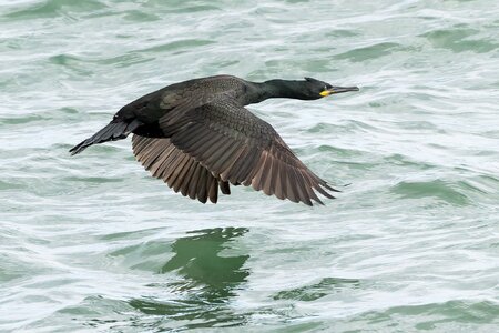 _73A7862-20260306-DxO_DeepPRIME XD3.jpg