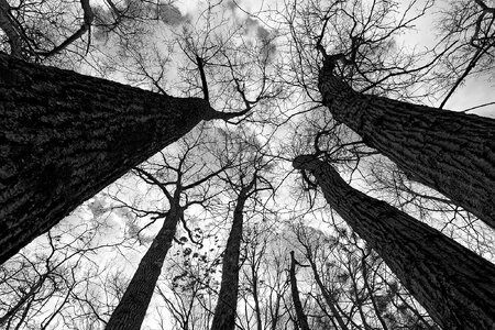 Wildlife refuge_Greenville.jpg