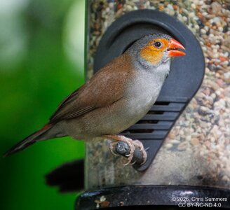2026-016-029 KWPC Cockrell Butterfly Center trip-2.jpg