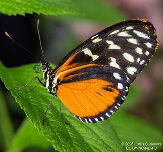 2026-016-113 KWPC Cockrell Butterfly Center trip.jpg