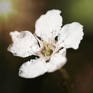 DV8A6490-Resize.jpg