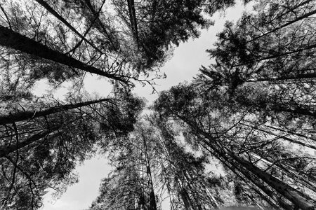 FB_MG_2661-Edit-post.jpg