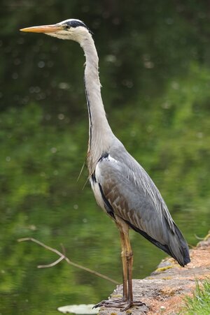 IMG_3517.JPG