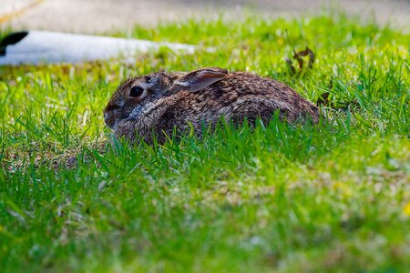 IMG_1551_1_DxO.jpg