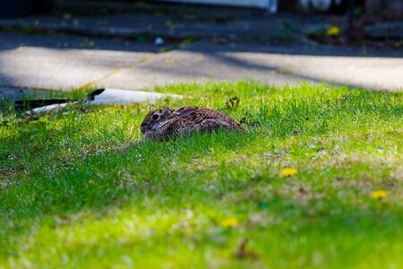 IMG_1551_M_DxO.jpg
