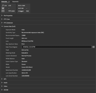 Metadata-AdobeBridge-View.png