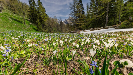 FB_MG_2700-Edit-post.jpg