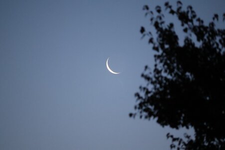 IMG_0360.jpeg
