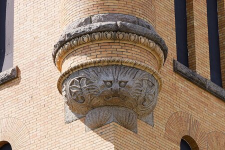 IMG_1620_1_DxO.jpg