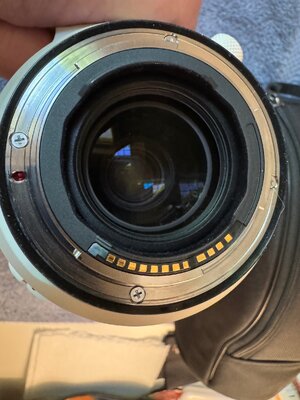 IMG_5124.jpeg