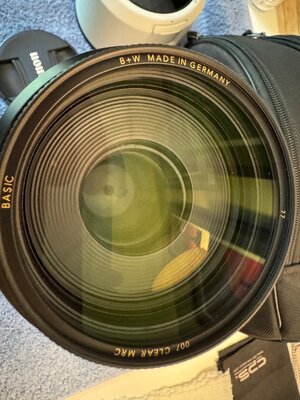 IMG_5125.jpeg