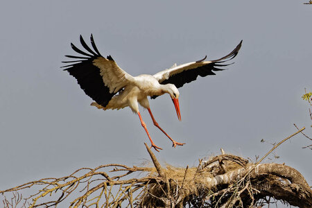 _U3A6407_DxO-2.jpg