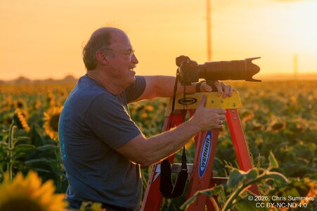 2026-028-161 KWPC sunflowers.jpg