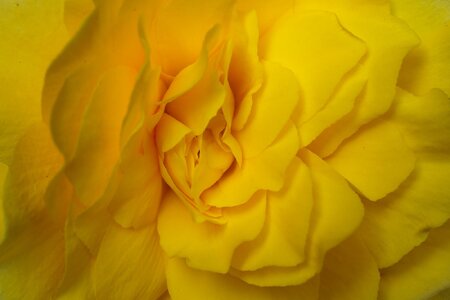 618A1368_DxO.jpg