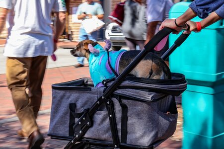 IMG_4741.jpeg