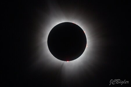 866A6945-1.jpg