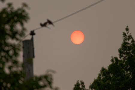 IMG_1674_DxO.jpg