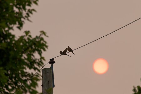 IMG_1677_DxO.jpg