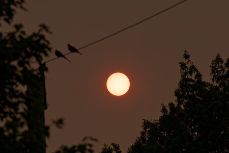 IMG_1686_DxO.jpg