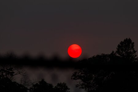 IMG_1687_DxO.jpg