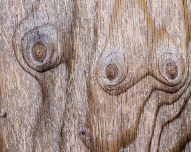 Total Recall-in wood.jpg