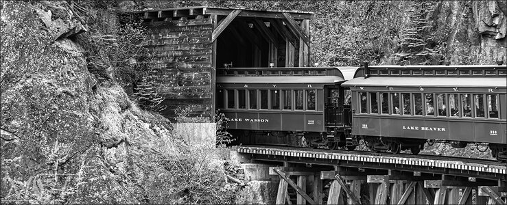 55459 Into the Tunnel.jpg