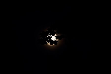 IMG_1718_DxO.jpg