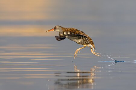 water -46.jpg